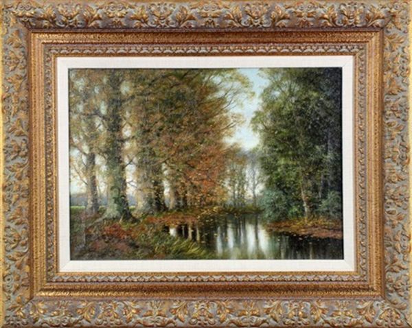 Landscape - view 1