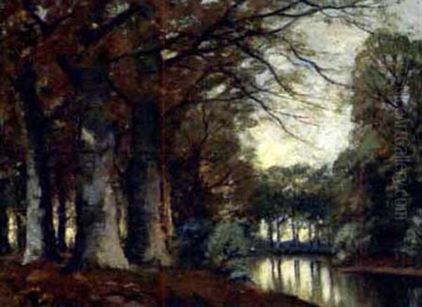 Beuken Aan Beekje - view 1