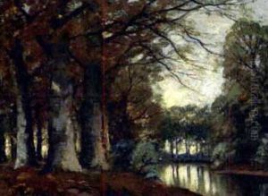 Beuken Aan Beekje by Pieter Ten Cate