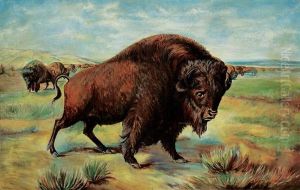 Untitled - Monarch Of The Prairies by George Catlin