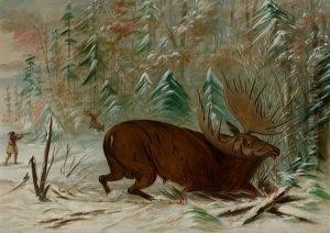 Moose Hunt by George Catlin