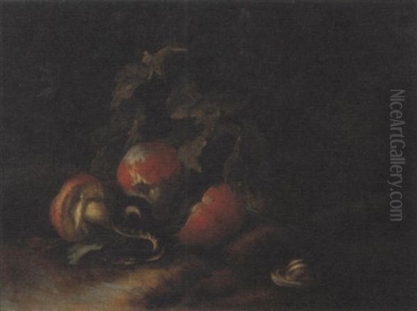 Funghi, Lumaca, E Piccola Biscia In Un Sottobosco - view 1
