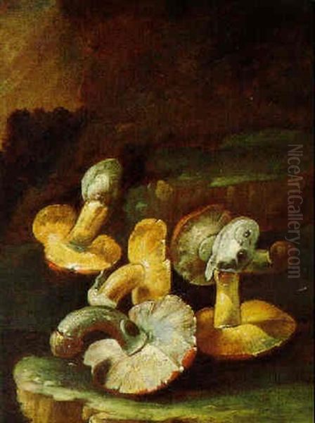 Natura Morta Con Funghi - view 1