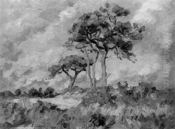 Paysage - view 1