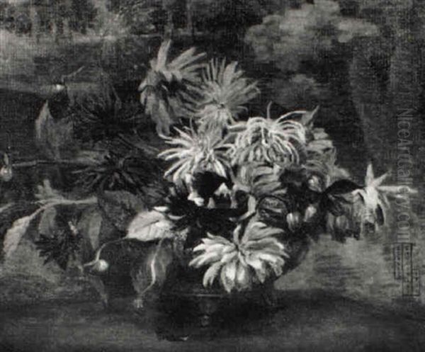 Dahlien - view 1