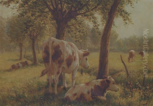 Cattle In A Sunlit Meadow - view 1