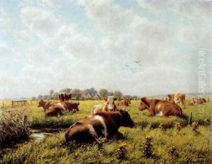 Polderlandschap Met Koeien