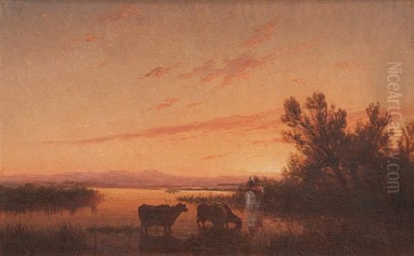 Paysage Lacustre Anime Au Crepuscule - view 1