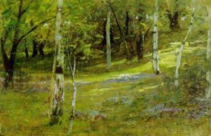 Luci Nel Bosco Luci Nel Bosco