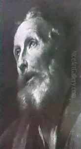Testa Di Vecchio Testa Di Vecchio