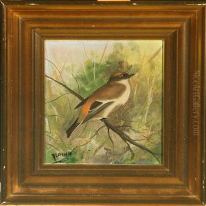 Flycatcher by Carl Amon