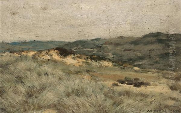 Paisaje - view 1