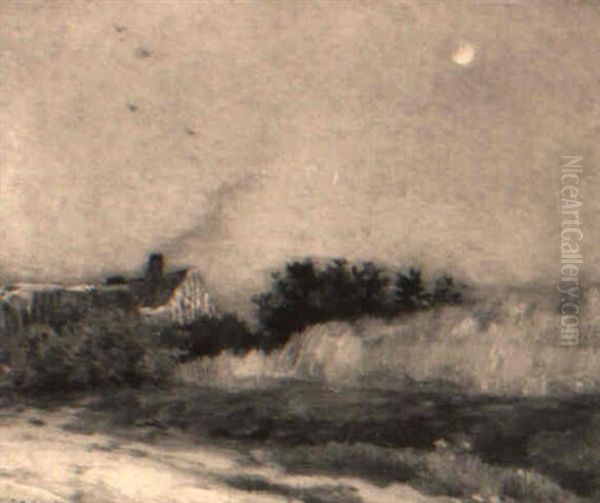 Fields Of Grain By Moonlight - view 1