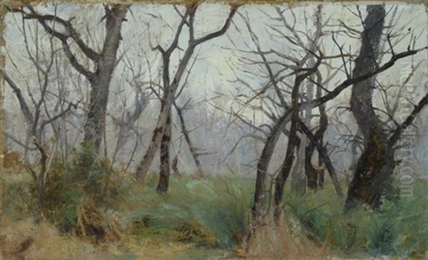 Alberi - view 1