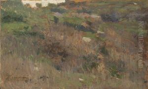 Campagna In Maremma