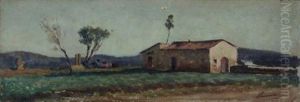 Casa Colonica In Maremma