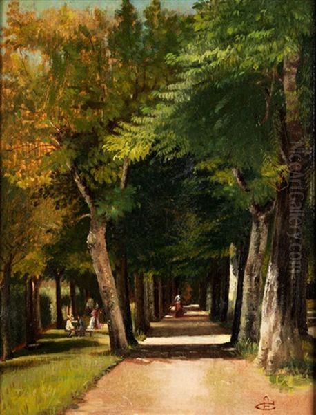 Sommerliche Allee - view 1