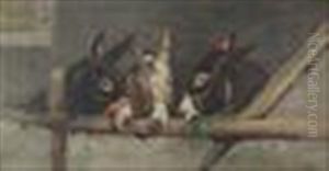 Cipriano Cei Three Donkeys by Cipriano Cei