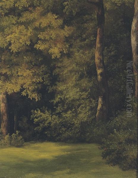 Fallen Tree Trunks On A Forest Floor (+ A Woodland Clearing; 2 Works) - view 1