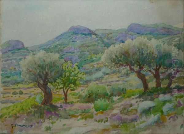 Oliviers Dans La Colline - view 1