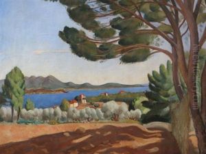 Paysage Du Midi