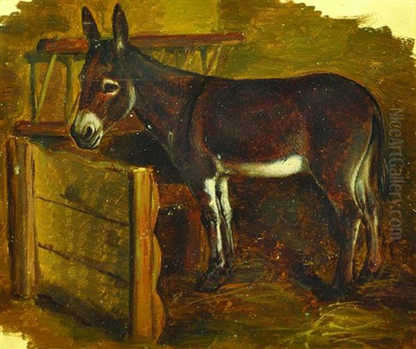 Donkey In The Stable - view 1
