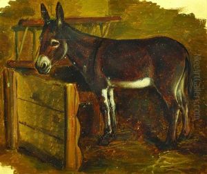 Donkey In The Stable by Jaroslav Cermak