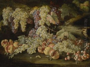 Still Life Of Grapes by Michelangelo Cerquozzi