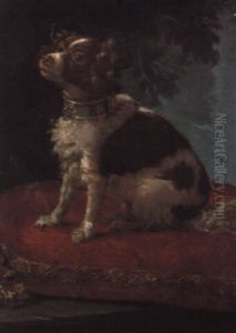 A Spaniel On A Cushion A Spaniel On A Cushion