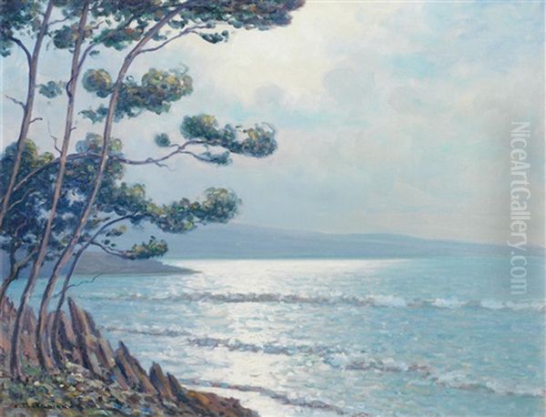 Bay At Carqueiranne - view 1