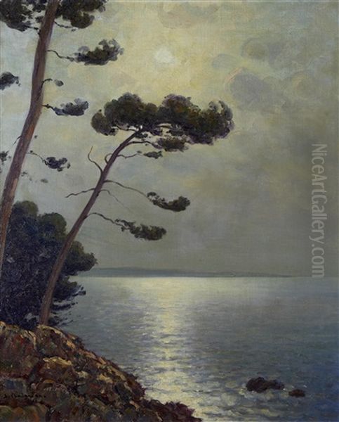 Moonlit Ocean View - view 1