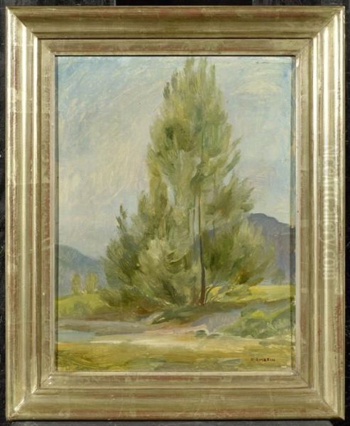 A Tree Study - view 1