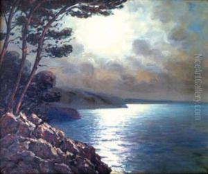 Rivage Au Clair De Lune