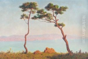 Paysage Aux Grands Pins by Maurice Chabas