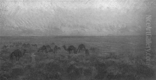 Beduine Mit Kamelherde In Der Abendlichen Wuste - view 1