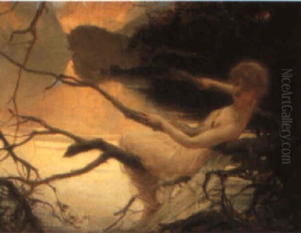 Resting In The Tree - view 1