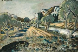 Oliviers Au Pied De Boeuf, Dans Les Alpilles