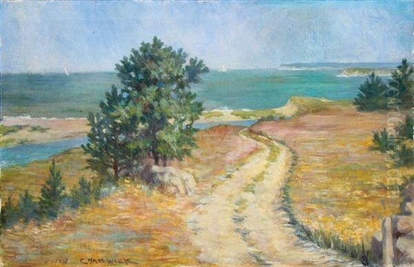Seaside Landscape With Sailboats In Distance - view 1