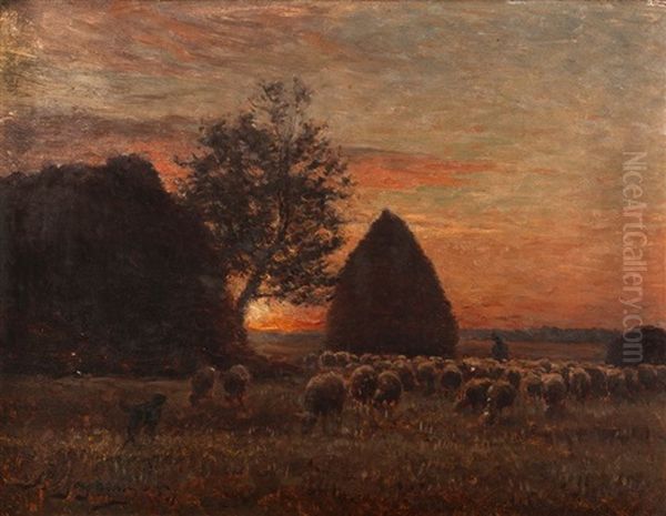 Paysage - view 1