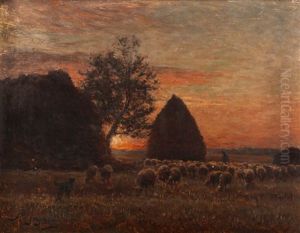 Paysage Paysage