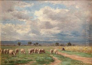 Moutons Au Pre Moutons Au Pre
