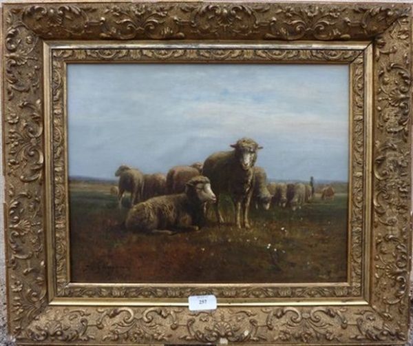 Troupeau De Moutons Sur La Lande - view 1