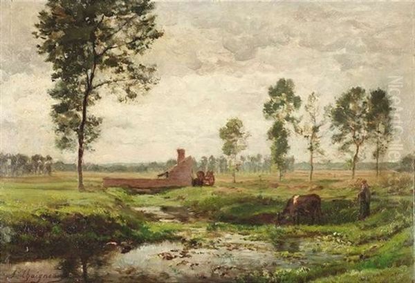 Sommerliche Weidelandschaft - view 1