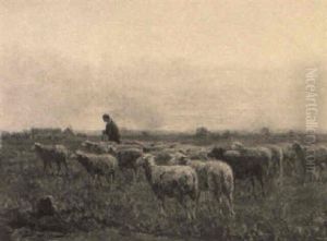 Grazing Sheep Grazing Sheep