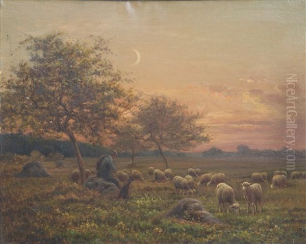 Paysages Au Coucher Du Soleil - view 1