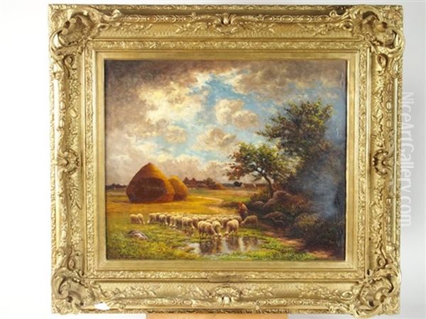 Paysage Au Troupeau De Moutons - view 1