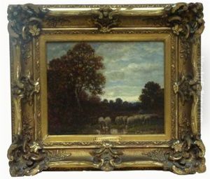 Moutons A La Mare A Barbizon Moutons A La Mare A Barbizon