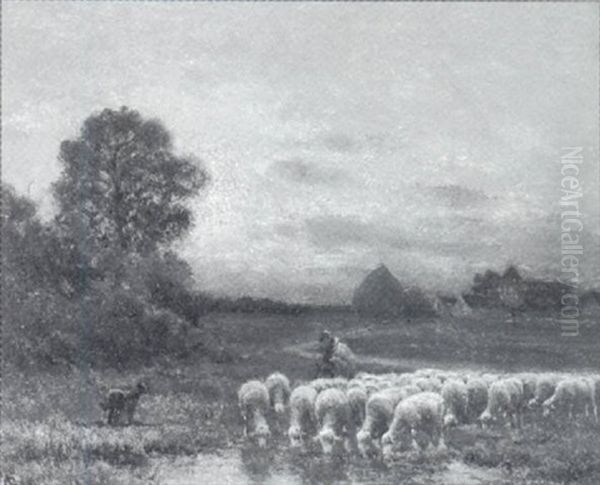 Abendliche Landschaft Mit Schafherde - view 1