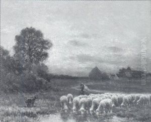 Abendliche Landschaft Mit Schafherde Abendliche Landschaft Mit Schafherde