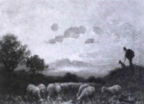 Schafer Mit Hund Und Herde An Der Tranke - view 1